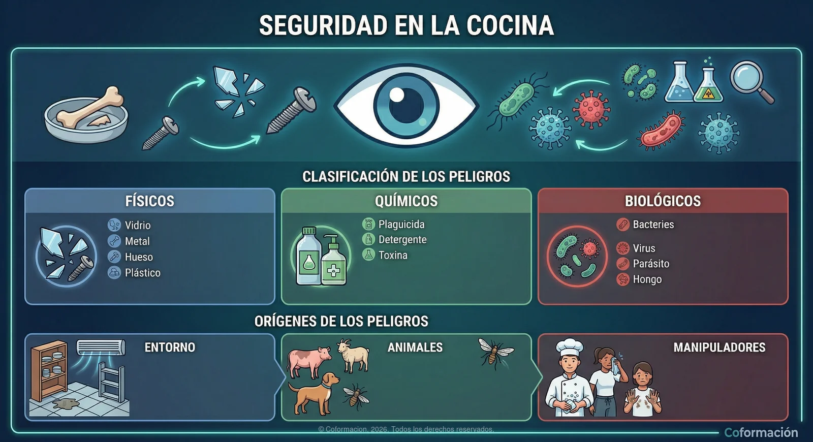 Seguridad en la cocina - Coformación